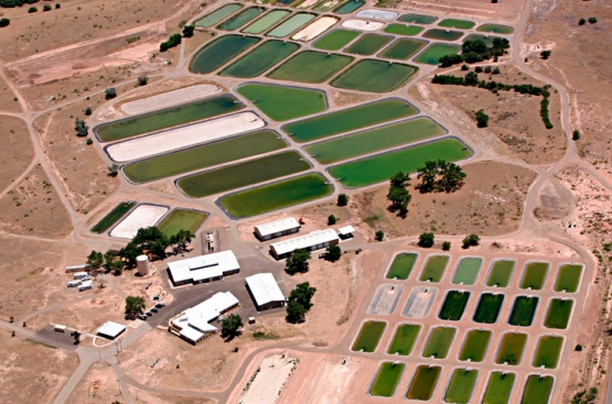 Искусственные озера Firestone, New Mexico - геомембрана GeoGard EPDM для искусственных водоемов
