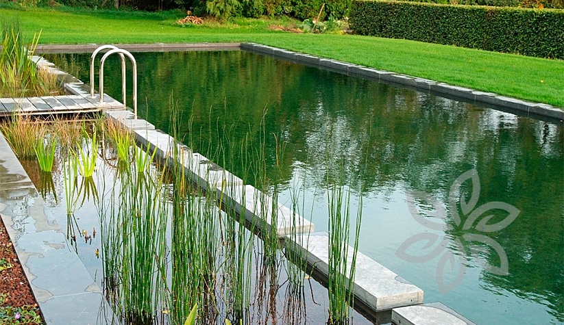 Бассейн для плавания на природе, Бельгия - мембрана для водоемов Firestone PondGard EPDM