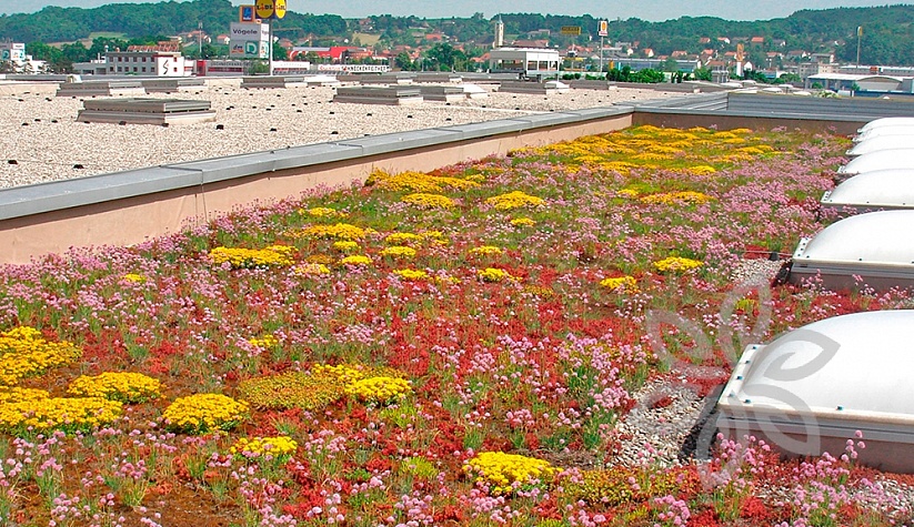 REWE, Linz, Австрия - Мембрана UltraPlyTPO, балластная зеленая кровля